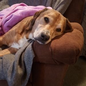 Meet your Posher, Ellen